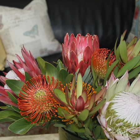 Tortelduif Cottage Stellenbosch Eksteriør billede